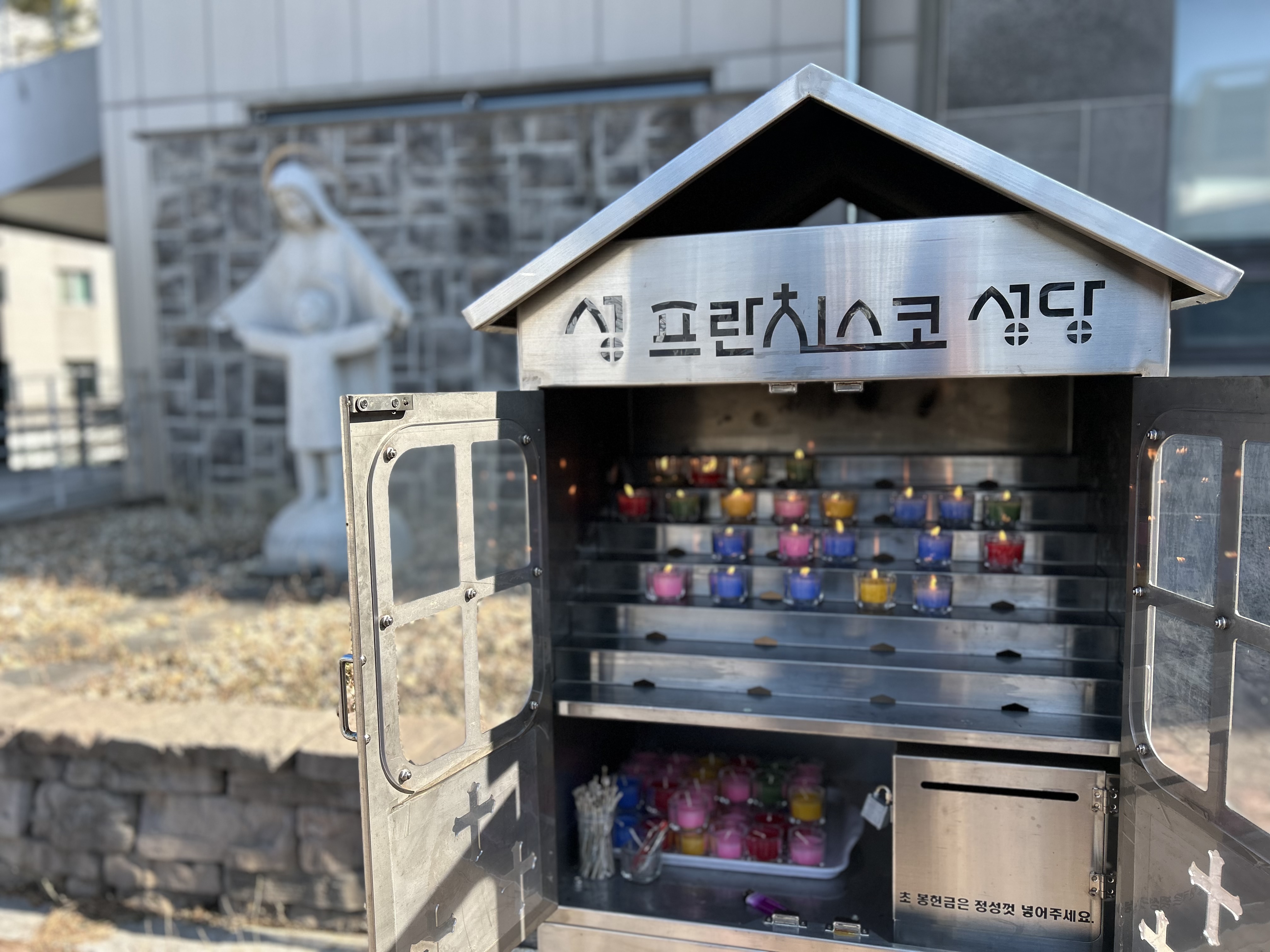 [260202] 주님 봉헌 축일 대표이미지